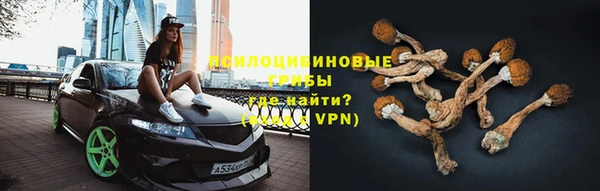 метадон Зеленодольск