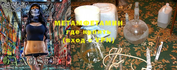 сатива Пересвет