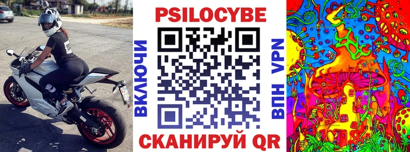 Купить закладки  Карталы  Галлюциногенные грибы MAGIC MUSHROOMS 